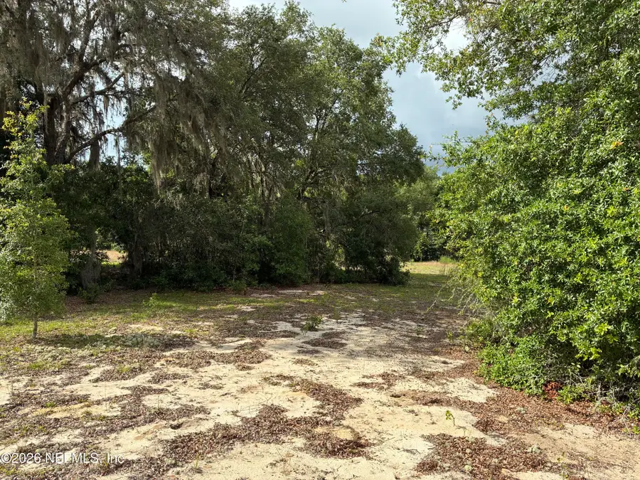 0220 Chesser Monroe Road, Hawthorne, FL 32640 - #3