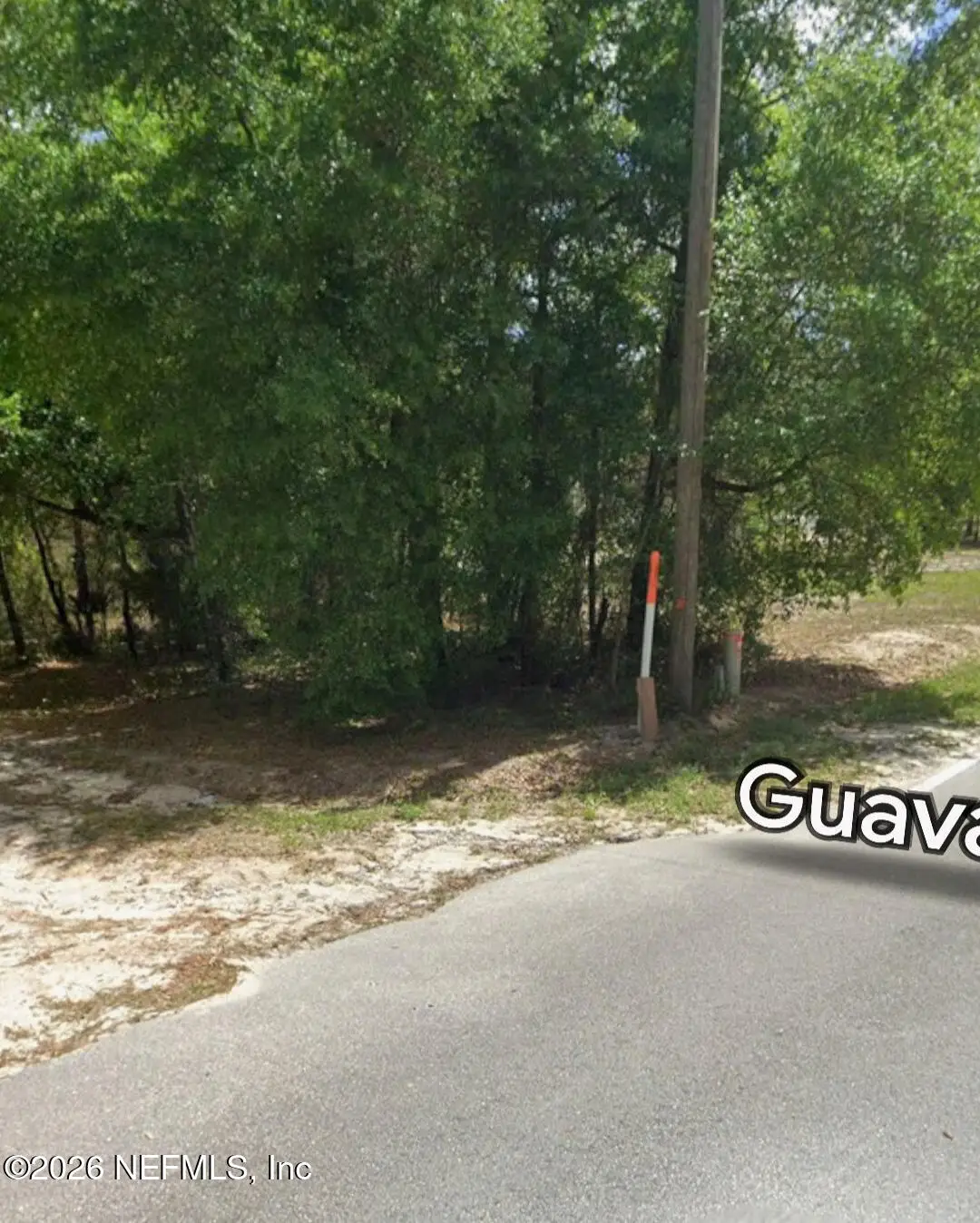202 Guava Avenue, Pomona Park, FL 32181 - #1
