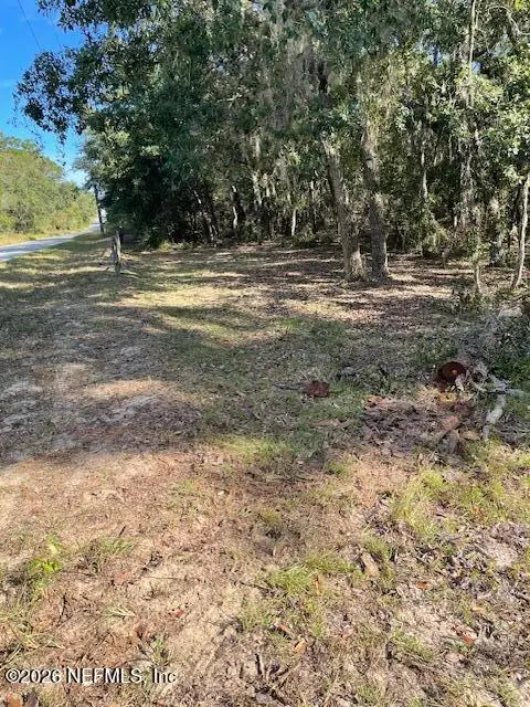 202 Guava Avenue, Pomona Park, FL 32181 - #2