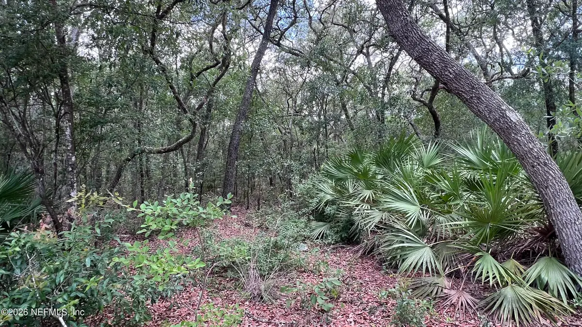 1107 Usina Avenue, Interlachen, FL 32148 - #1