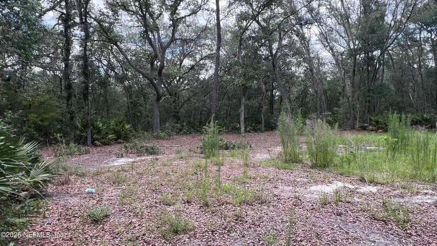 1107 Usina Avenue, Interlachen, FL 32148 - #2