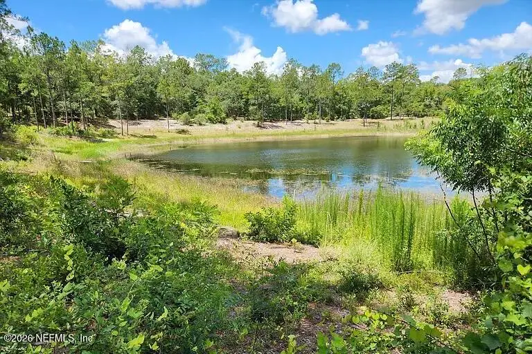 4534 Alan Lake Road, Keystone Heights, FL 32656 - #3