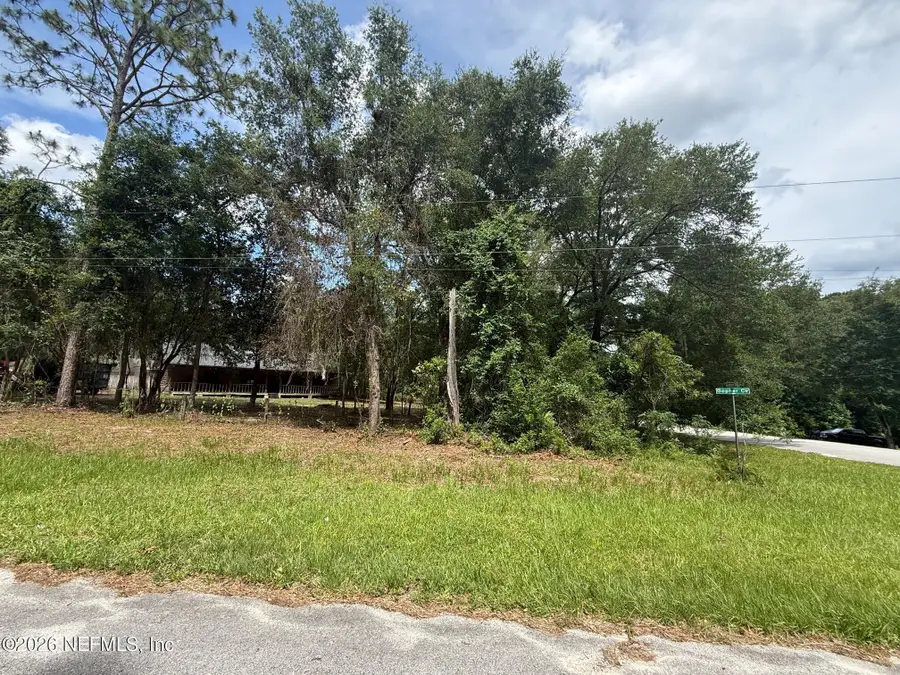 4883 Gopher Circle, Middleburg, FL 32068 - #3