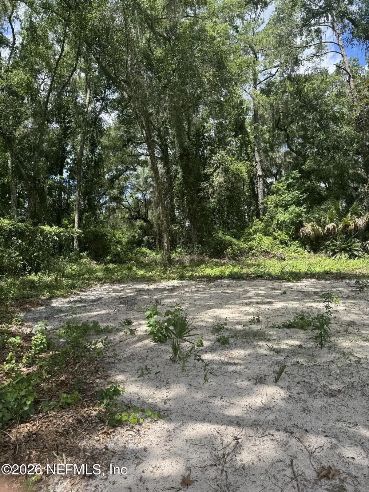 110 Reed-bell Street, East Palatka, FL 32131 - #1