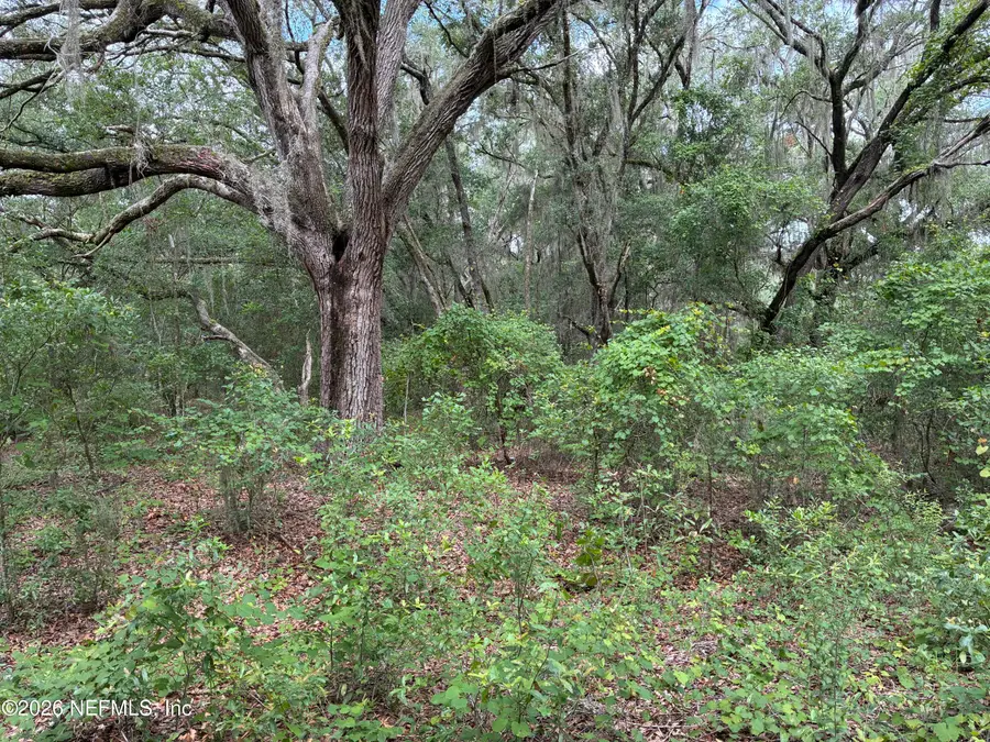 107 Laurel Drive, Hawthorne, FL 32640 - #2