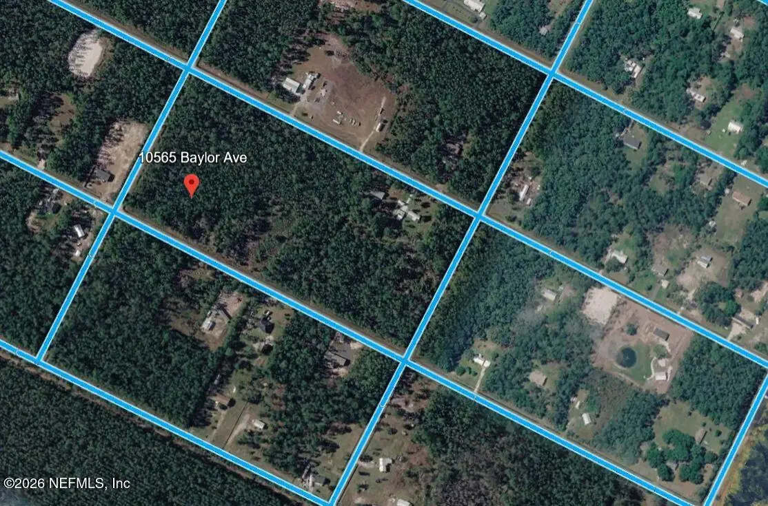 10565 Baylor Avenue, Hastings, FL 32145 - #1