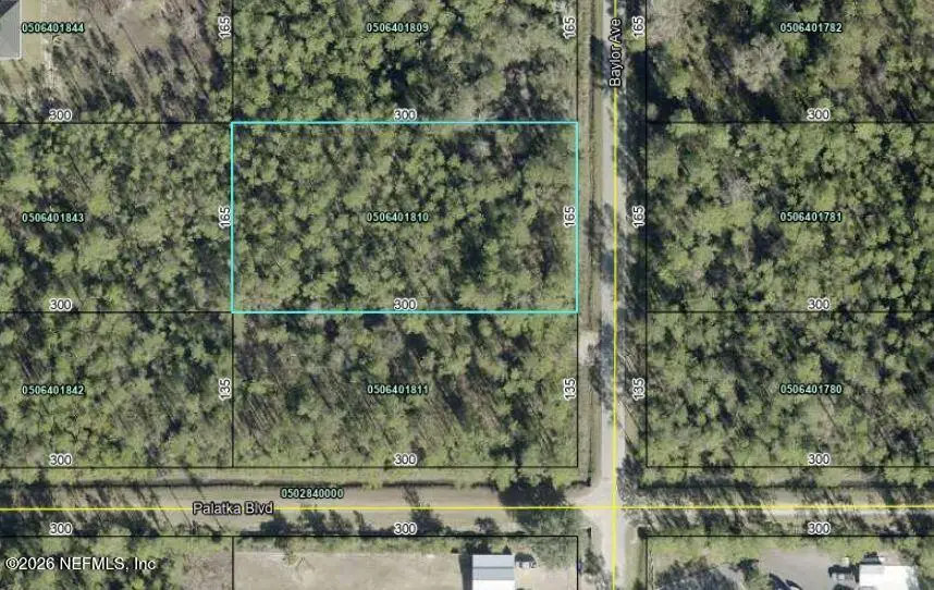 10565 Baylor Avenue, Hastings, FL 32145 - #2