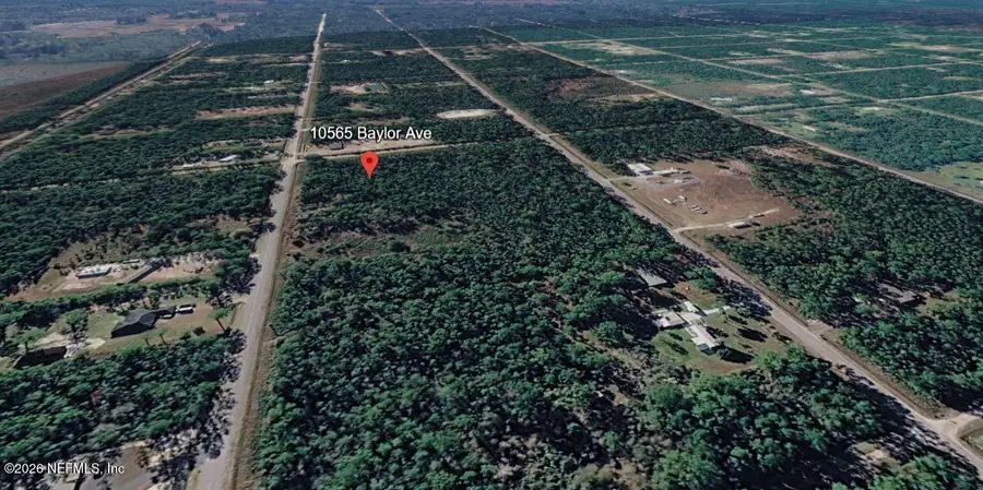 10565 Baylor Avenue, Hastings, FL 32145 - #3