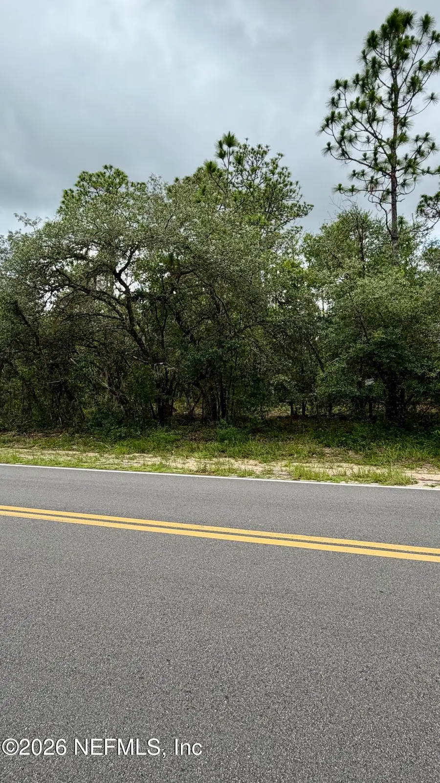 0041 Cousintown Road, Interlachen, FL 32148 - #2