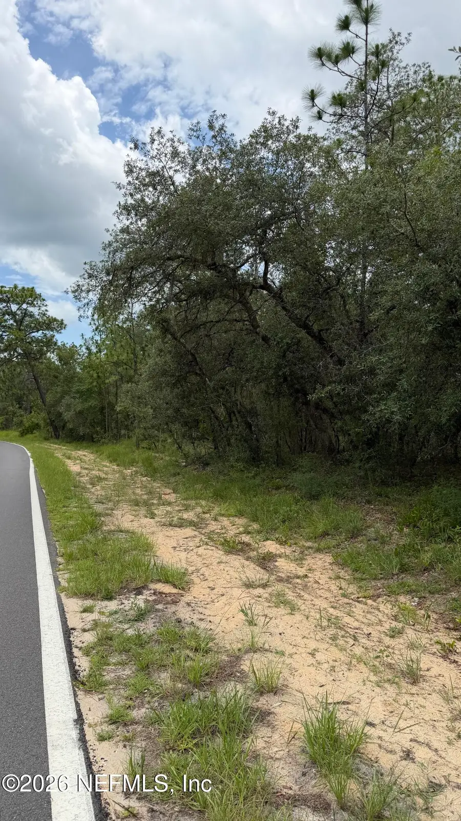 0041 Cousintown Road, Interlachen, FL 32148 - #3