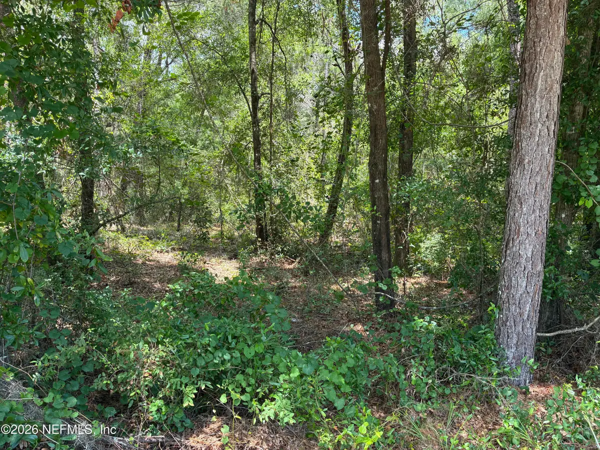 218 Beecher Springs Road, Pomona Park, FL 32181 - #1