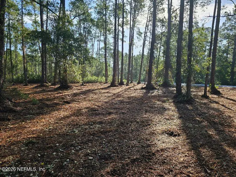 211 Georgetown Denver Road, Georgetown, FL 32139 - #1