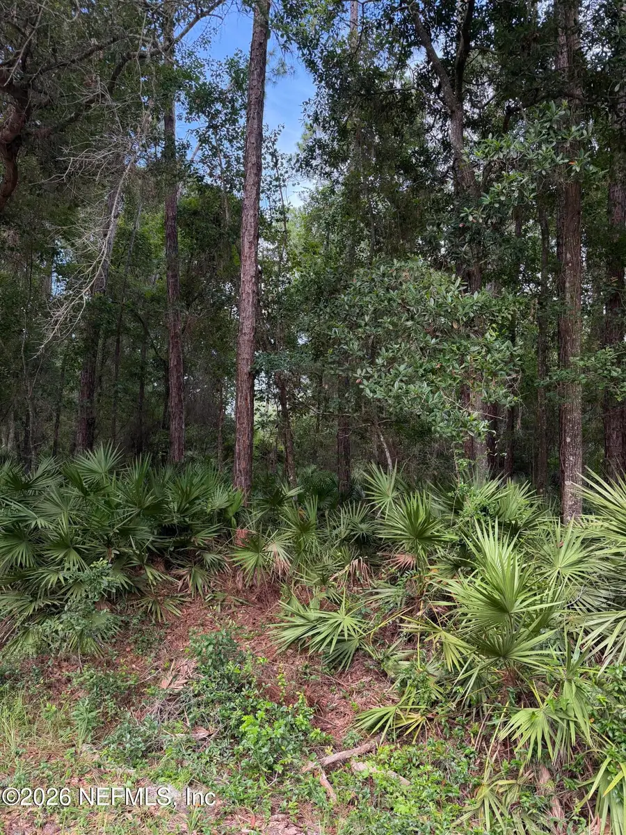 102 Caroline Boulevard, Georgetown, FL 32139 - #2