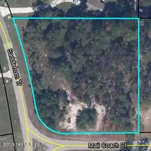 4200 Mail Coach Court, Middleburg, FL 32068 - #1