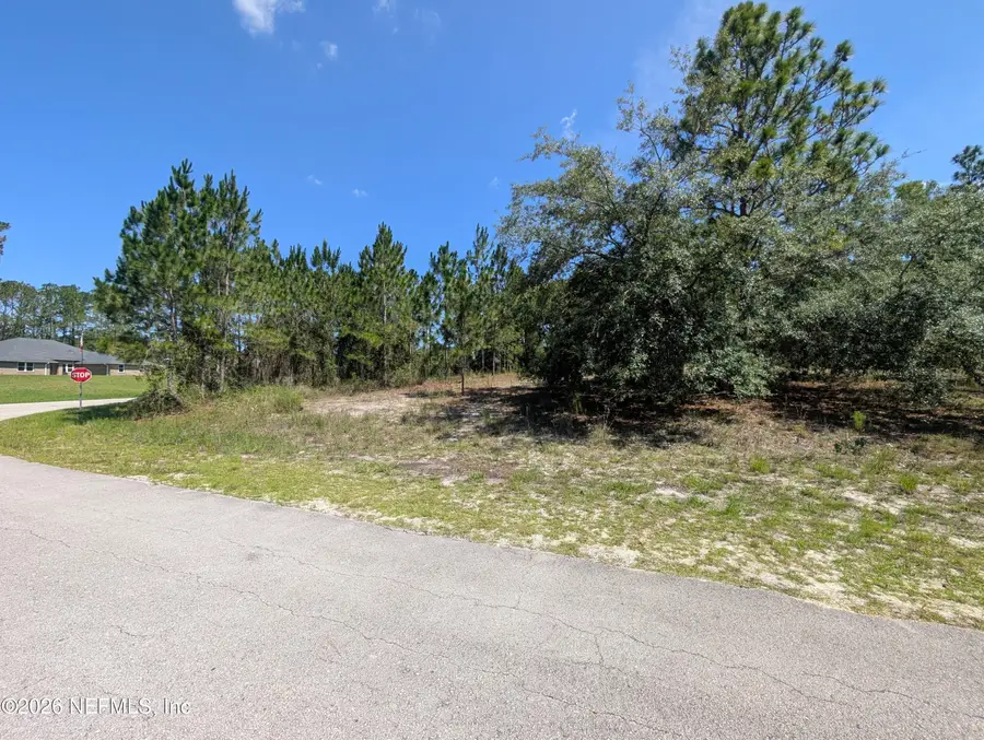 4200 Mail Coach Court, Middleburg, FL 32068 - #3