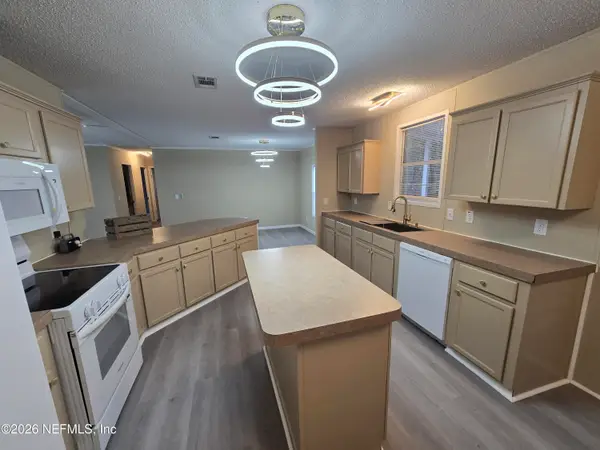 229 Dolphin Circle, Middleburg, FL 32068