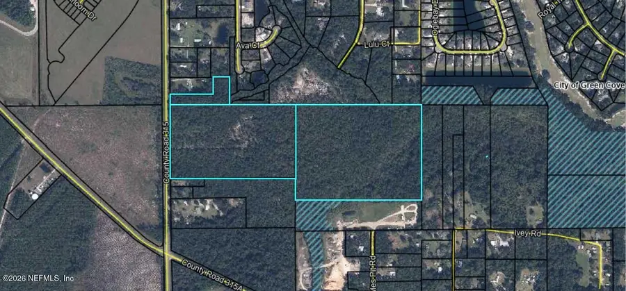 3771 County Road 315, Green Cove Springs, FL 32043 - #2