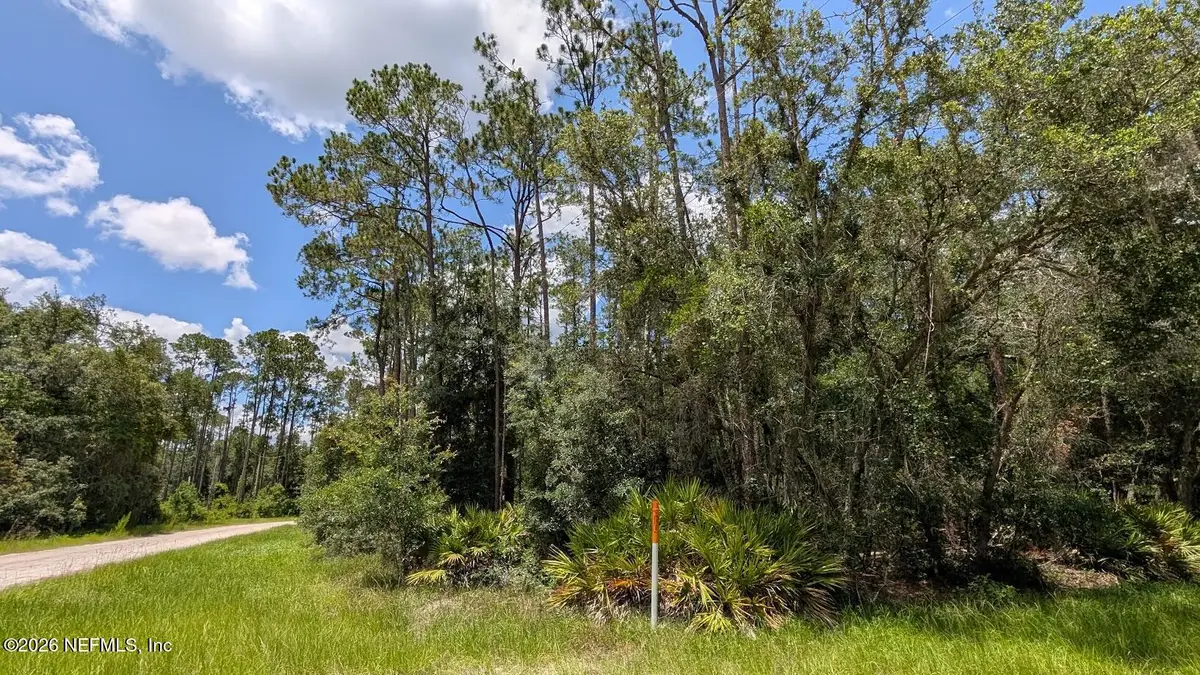 301 Whispering Pines Road, Georgetown, FL 32139 - #1