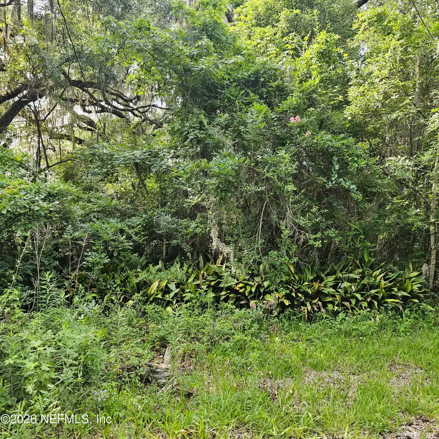 7803 Crawford Street, Jacksonville, FL 32256 - #2