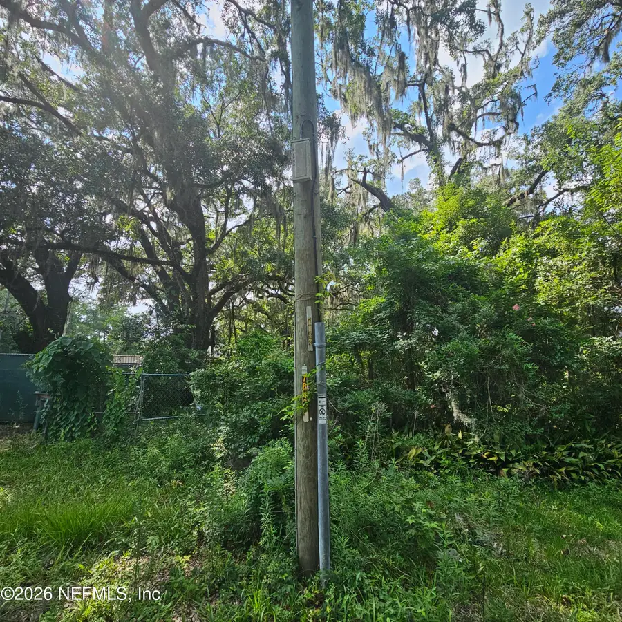 7803 Crawford Street, Jacksonville, FL 32256 - #3