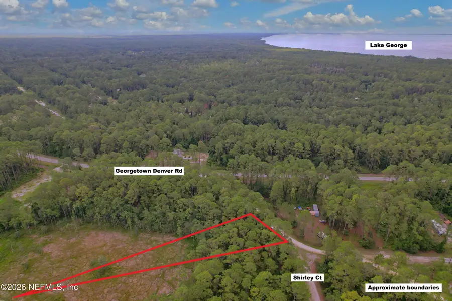106 Shirley Circle, Georgetown, FL 32139 - #3