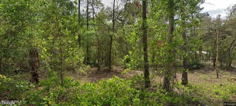 105 Pinetree Street, Pomona Park, FL 32181 - #1
