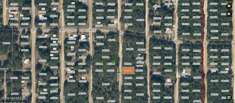 XXX Neisman Avenue, Interlachen, FL 32148 - #2