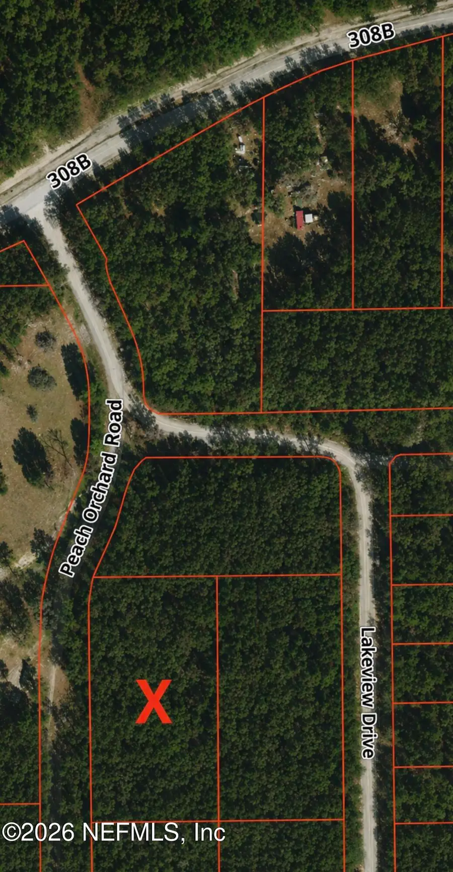 112 Peach Orchard Road, Pomona Park, FL 32181 - #3
