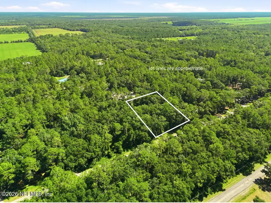 5020 Earl Street, Hastings, FL 32145 - #2