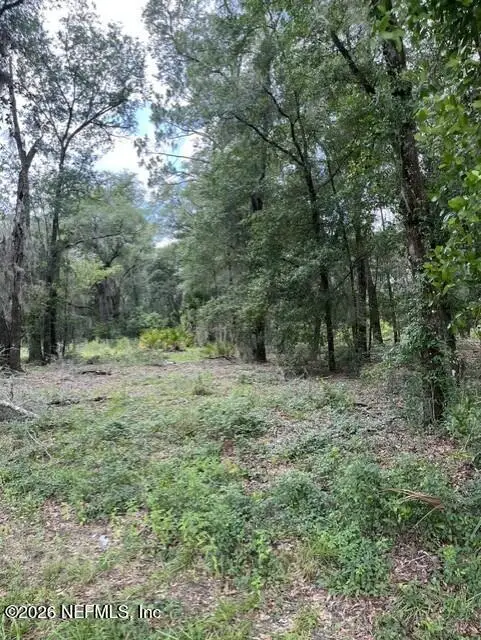 607 Cousintown Rd Road, Interlachen, FL 32148 - #2