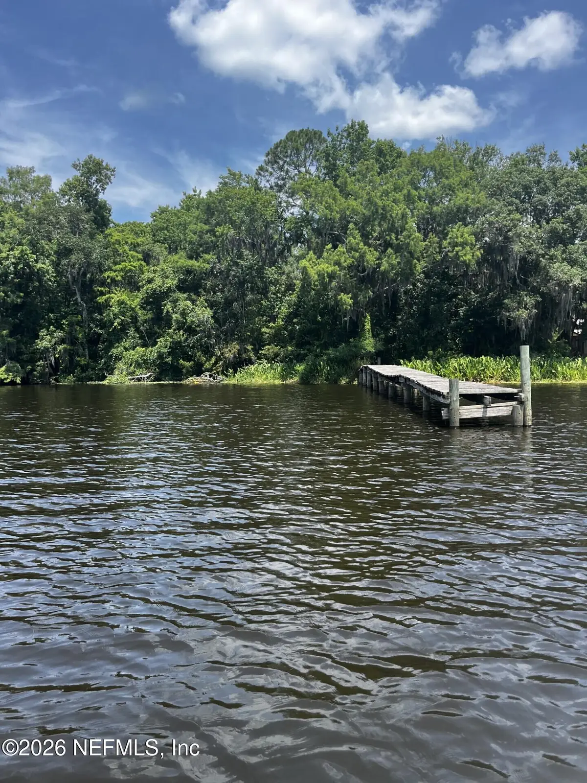 102 Cedar Creek Road, Palatka, FL 32177 - #1