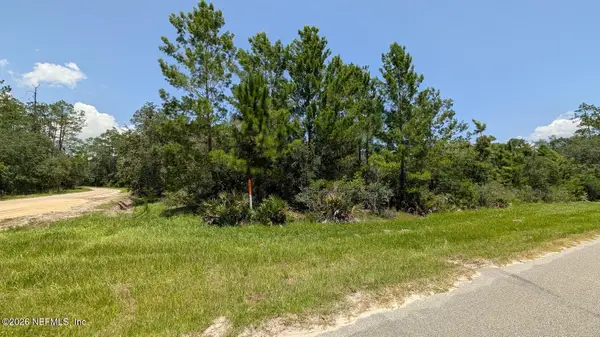 201 Whispering Pines Road, Georgetown, FL 32139
