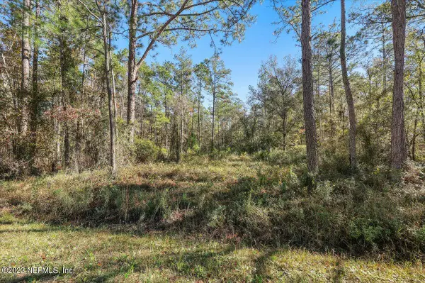 10690 Gregory Avenue, Hastings, FL 32145