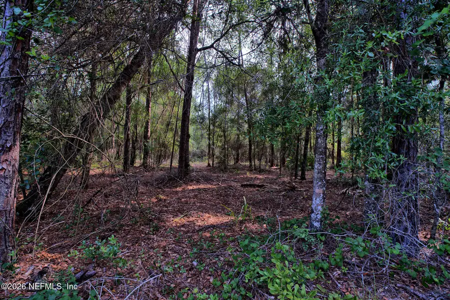 000 Cousintown Road, Interlachen, FL 32148 - #3