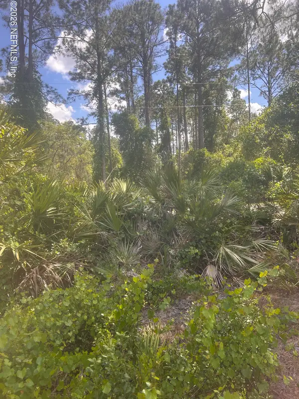 128 Forest Street, Georgetown, FL 32139