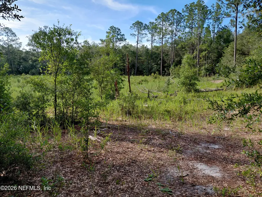 157 Oak Circle, Interlachen, FL 32148 - #2