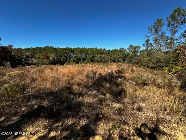 220 Como Circle, Interlachen, FL 32148