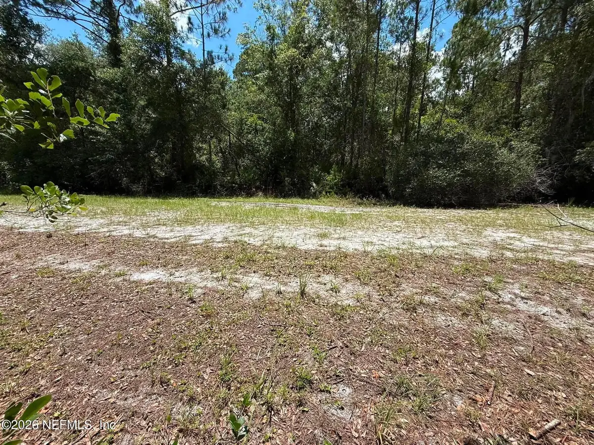 102 Willow Lane, Georgetown, FL 32139 - #1