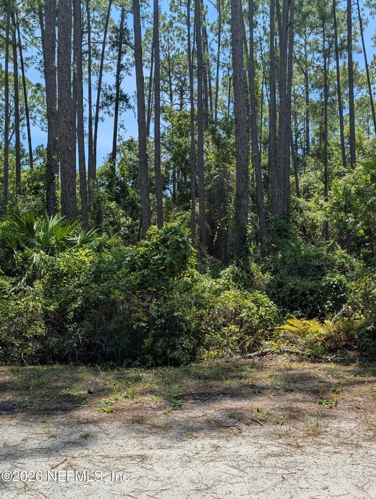 121 SE 1st Street, Georgetown, FL 32139 - #1