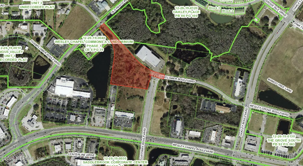 TBD Dayflower Boulevard, Wesley Chapel, FL 33544 - #1