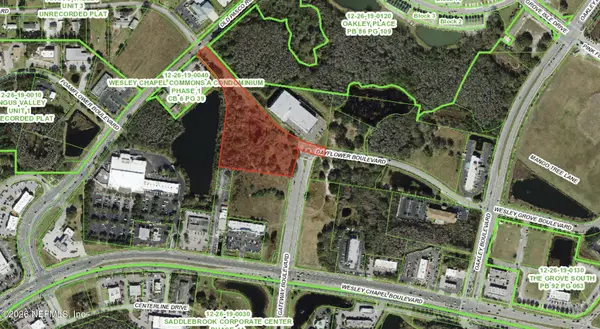 TBD Dayflower Boulevard, Wesley Chapel, FL 33544