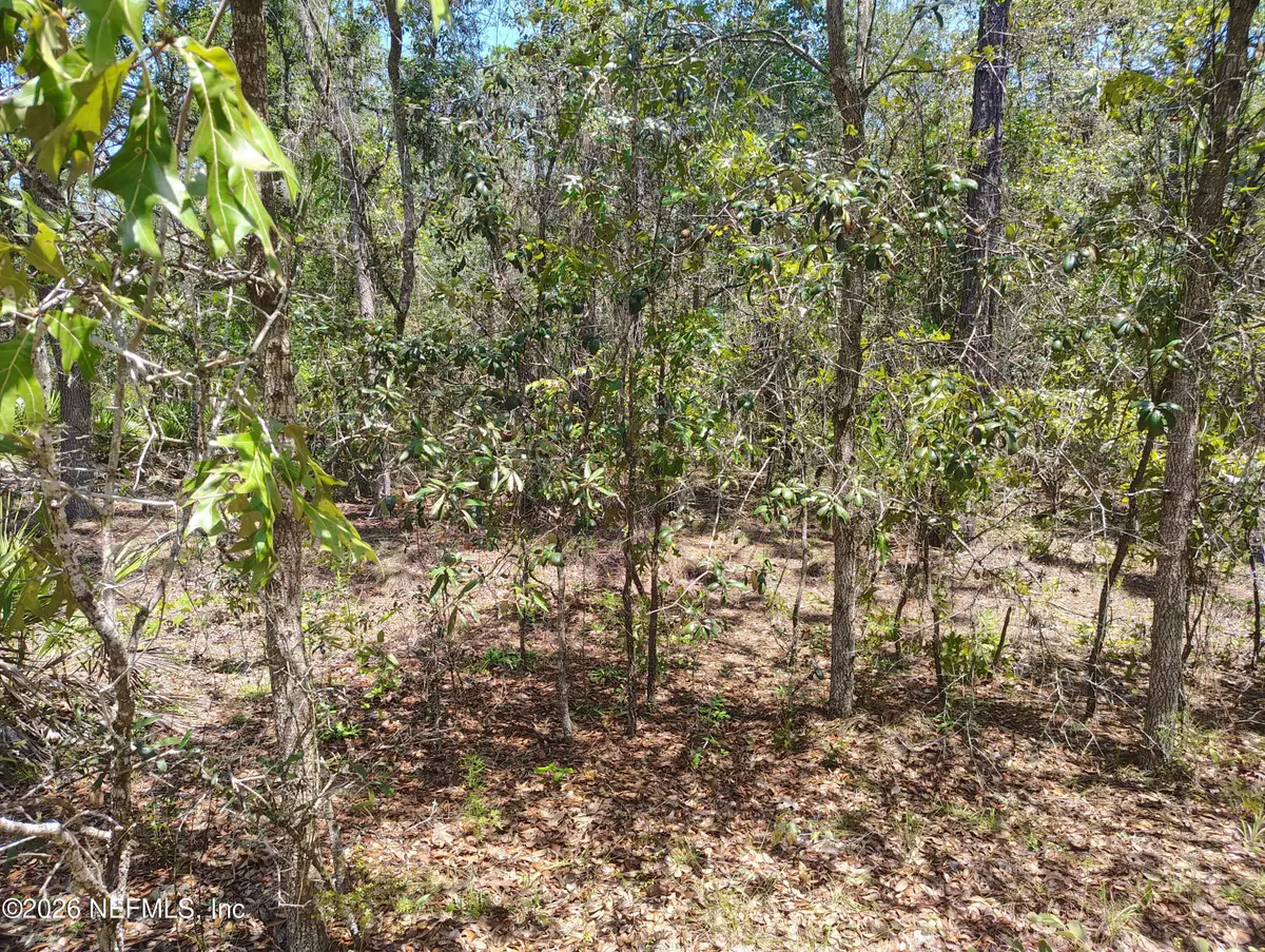 TBD Sumac Street, Interlachen, FL 32148 - #1
