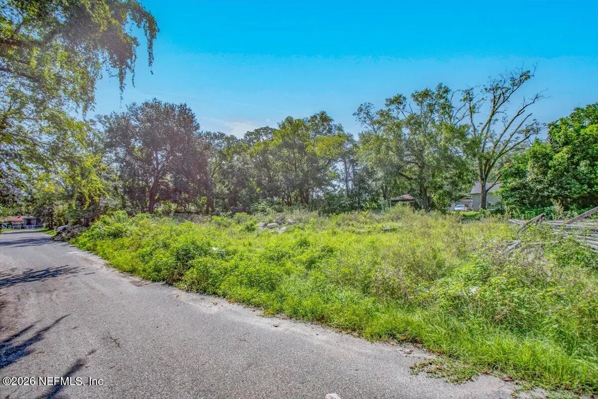 0 Baldwin Street, Jacksonville, FL 32209 - #1