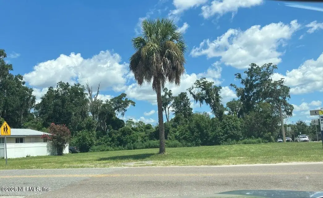 206 S Oakridge Avenue, Green Cove Springs, FL 32043 - #1