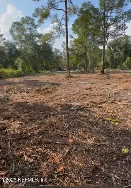 10398 Hollie Road, Glen Saint Mary, FL 32040 - #1