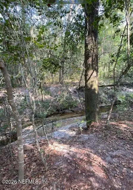 10398 Hollie Road, Glen Saint Mary, FL 32040 - #2