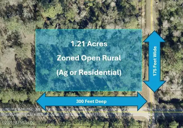 10575 Weatherby Avenue, Hastings, FL 32145 - #2
