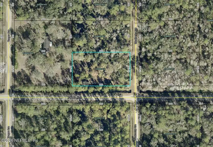 10575 Weatherby Avenue, Hastings, FL 32145 - #3