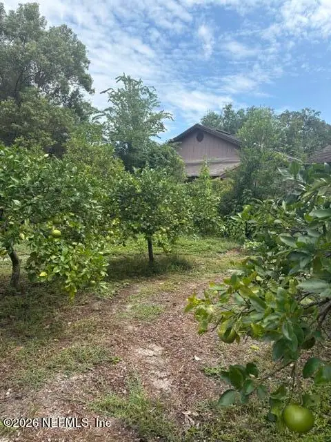 1410 Redbud Lane, Jacksonville, FL 32207 - #3