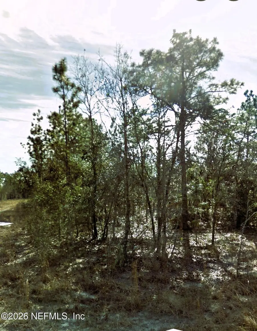 0 NE 3rd Place, Williston, FL 32696 - #2